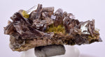 3.7cms PREMIUM AXINITE QUARTZ CRYSTALS PERU AESTHETIC COLLECTOR AB191