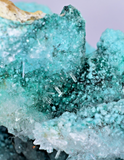 20cm GEM CHRYSOCOLLA IN SELENITE LILY MINE PERU MALACHITE STALACTITES CB359