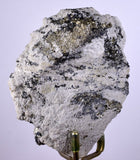 8.8ms  GREEN BLUE FLUORITE PYRITE CRYSTAL PERU HUANZALA MINE SHINY KB18