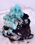 1.6cm AURICHALCITE CRYSTALS DURANGO MEXICO MINERAL SPECIMEN WB29