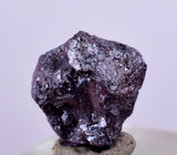 0.8cms PROUSTITE RED RUBY SILVER PERU UCHUCCHACUA MINE MINERAL SPECIMEN HB210