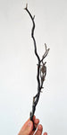 40cms GOLDEN BLACK CORAL POLISHED PERU NATURAL BRANCH SEA GENUINE VB05