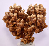 6.1cms ARAGONITE BOTRYOIDAL CRYSTALS AESTHETIC MINERAL SPECIMEN PERU EB45