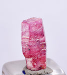 3cts RUBY CRYSTAL CORUNDUM NATURAL RED TANZANIA MINERAL SPECIMEN YB25