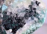 4.7cms GEM CLINOATACAMITE CRYSTAL MALACHITE LILY MINE 2000 DISCOVERY PERU AB160