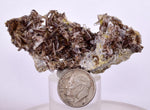 6.4cms PREMIUM AXINITE QUARTZ CRYSTALS PERU AESTHETIC COLLECTOR AB137