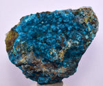 5.5cms QUARTZ CHRYSOCOLLA BOTRYOIDAL TENTADORA MINE PERU MINERAL SPECIMEN CB101