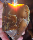 9cms GOLDEN AGATE CHALCEDONY ? BANDED ROUGH CHOCOLATE TRANSLUCENT PERU AB220