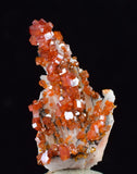 3.1cm VANADINITE CRYSTAL BARITE MIBLADEN MOROCCO MINIATURE MINERAL SPECIMEN WB16