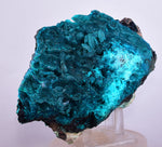 13.8cm GEM BLUE MALACHITE ps CHRYSOCOLLA BOTRYOIDAL TENTADORA MINE PERU UB222