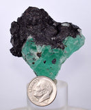 4.8cms GEOCRONITE GREEN FLUORITE CRYSTAL PERU MILPO ATACOCHA PERU SHINY KB20