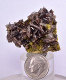 3.7cms PREMIUM AXINITE QUARTZ CRYSTALS PERU AESTHETIC COLLECTOR AB191