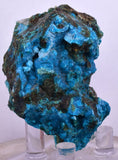 5.2cms QUARTZ CHRYSOCOLLA BOTRYOIDAL TENTADORA MINE PERU MINERAL SPECIMEN CB117