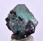 2cms GEOCRONITE GREEN FLUORITE CRYSTAL PERU MILPO ATACOCHA PERU SHINY KB37