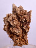 7.5cms ARAGONITE BOTRYOIDAL CRYSTALS AESTHETIC MINERAL SPECIMEN PERU EB47