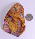PIECES OF SPINY OYSTER POLISHED PERU JEWELRY PENDANT BB157