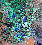 16cms GEM BROCHANTITE ATACAMITE LINARITE CHRYSOCOLLA CHILE Z43