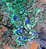 16cms GEM BROCHANTITE ATACAMITE LINARITE CHRYSOCOLLA CHILE Z43