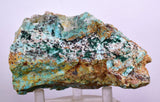 10cms ATACAMITE DRUZY MALCHITE CHRYSOCOLLA LILY MINE PERU MINERAL AB157