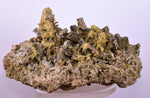 13ms CLINOZOISITE EPIDOTE CRYSTALS PERU MINERAL SPECIMEN COLLECTOR  KB60