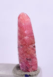 2.5cts RUBY CRYSTAL CORUNDUM NATURAL RED TANZANIA MINERAL SPECIMEN YB28