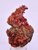 5.8cm VANADINITE HOLLANDITE CRYSTAL MIBLADEN MOROCCO  MINERAL SPECIMEN WB24