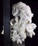 17cms NATURAL BIRD QUARTZ CALCITE PYRITE CRYSTALS MINERAL SPECIMEN QB88