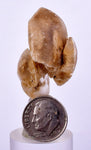 3.6 cms DESERT ROSE SELENITE CRYSTAL PERU GOLDEN SUISEKI TRANSLUCENT TB38