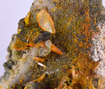 6.3cms GEM RARE WULFENITE MINI CRYSTALS ALAMO ARIZONA USA YB36