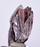 2cm GEM AXINITE CRYSTAL  PERU SUPER SHINY MINERAL SPECIMEN AB99