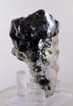 6.1cms CASSITERITE BRILLIANT CRYSTALS FACET GRADE SHINY BOLIVIA MINERAL EB57