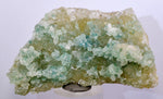 7.3cms ATACAMITE CALCITE DRUZY CHRYSOCOLLA MALACHITE LILY MINE PERU AB178