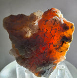 5.5cms PRECIOUS PINK HYALITE LAVENDER OPAL-(AN) BOTRYOIDAL PERU FLUORESCENT PB137