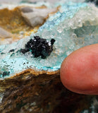 17cms GEM CLINOATACAMITE CRYSTALS DRUSY CHRYSOCOLLA LILY MINE PERU 2000 DISCOVERY