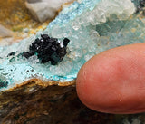 17cms GEM CLINOATACAMITE CRYSTALS DRUSY CHRYSOCOLLA LILY MINE PERU 2000 DISCOVERY