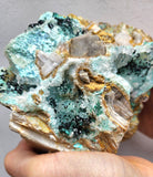 17cms GEM CLINOATACAMITE CRYSTALS DRUSY CHRYSOCOLLA LILY MINE PERU 2000 DISCOVERY