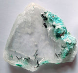5cms GEM ATACAMITE INSIDE SELENITE CRYSTAL LILY MINE PERU  TB174