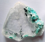 5cms GEM ATACAMITE INSIDE SELENITE CRYSTAL LILY MINE PERU  TB174