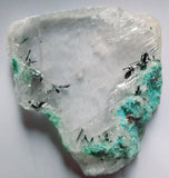 5cms GEM ATACAMITE INSIDE SELENITE CRYSTAL LILY MINE PERU  TB174
