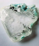 5cms GEM ATACAMITE INSIDE SELENITE CRYSTAL LILY MINE PERU  TB174