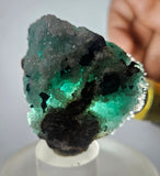 5.2cms DRUZY CHRYSOCOLLAATACAMITE PERU COPPER 2000 DISCOVERY DB120