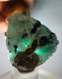 5.2cms DRUZY CHRYSOCOLLAATACAMITE PERU COPPER 2000 DISCOVERY DB120
