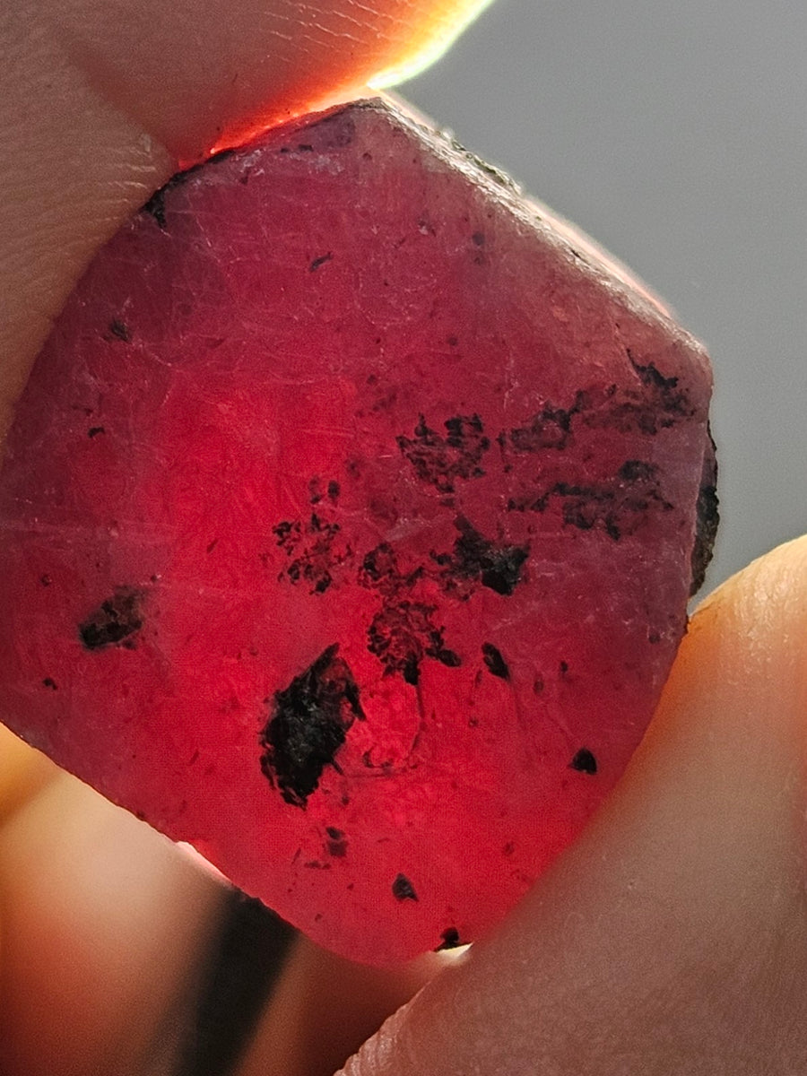 80cts RUBY CRYSTAL CORUNDUM NATURAL RED TANZANIA MINERAL SPECIMEN YB90 ...