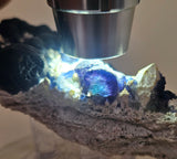 9.5cms BLUE FLUORITE QUARTZ CRYSTALS HUANGGANG MINES CHINA KB159