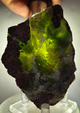 9cms DRUZY CHRYSOCOLLA QUARTZ CRYSTAL LILY MINE PERU 2000 YEAR DB269