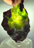 9cms DRUZY CHRYSOCOLLA QUARTZ CRYSTAL LILY MINE PERU 2000 YEAR DB269