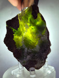 9cms DRUZY CHRYSOCOLLA QUARTZ CRYSTAL LILY MINE PERU 2000 YEAR DB269