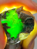 2.8cms DRUZY CHRYSOCOLLA QUARTZ CRYSTAL LILY MINE PERU 2000 YEAR DB288