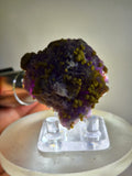 4.7cms COQUIMBITE COPIATITE CRYSTALS PERU MINERAL SPECIMEN UB369