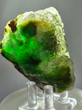 7cms DRUZY CHRYSOCOLLA QUARTZ CRYSTAL LILY MINE PERU 2000 YEAR DB294